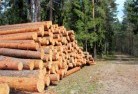 Elimbahtree-felling-services-31.jpg; ?>
